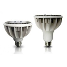 PAR30C‐Long‐RSLPAR30C‐L‐10W‐5000K‐TD‐10 Deg (Pack of 2 lamps) Zenaro RSL